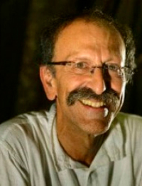 David Shulman