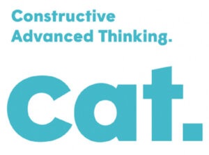 constructive advenced thinking cat